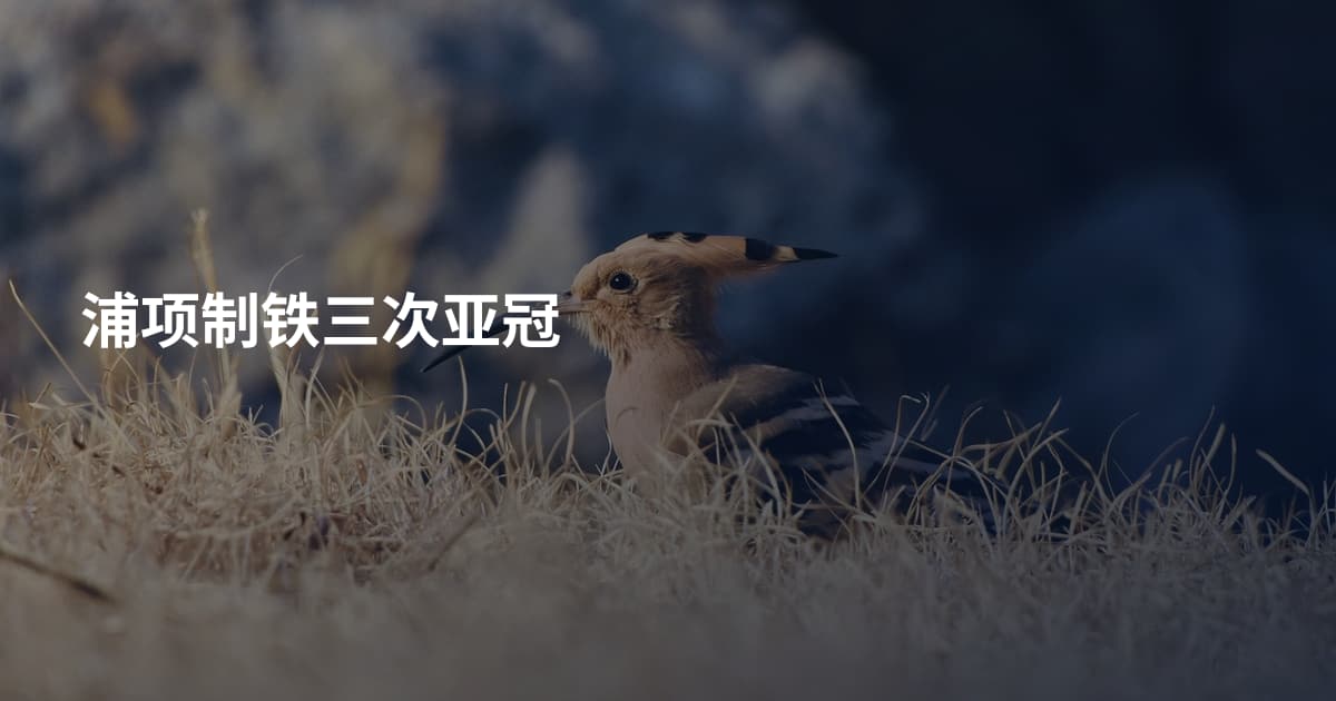 浦项制铁三次亚冠