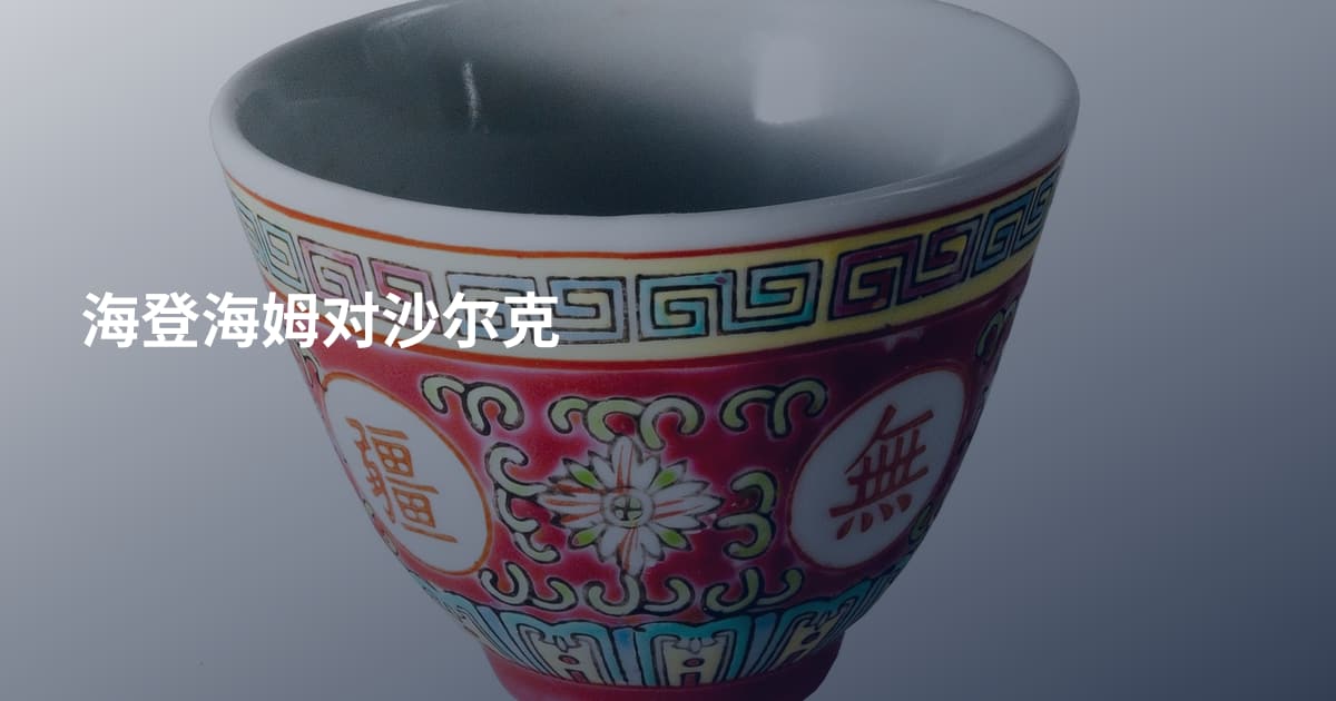 海登海姆对沙尔克