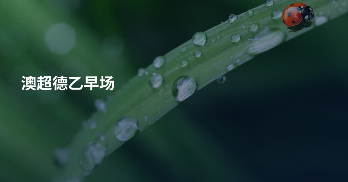 澳超德乙早场