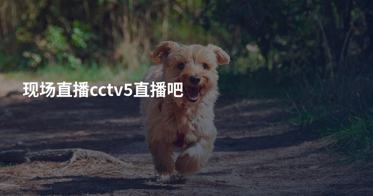 现场直播cctv5直播吧