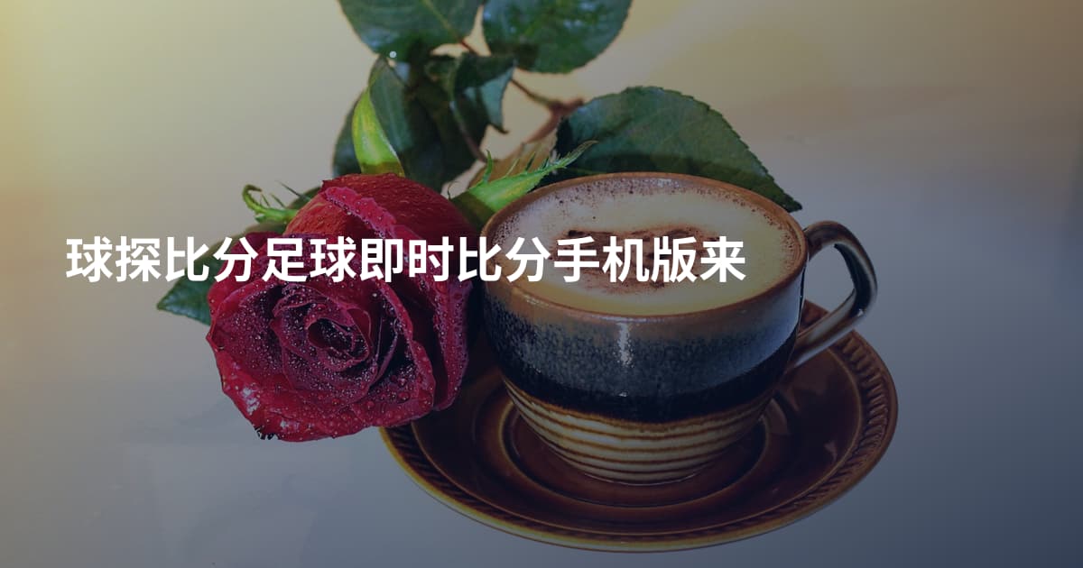 球探比分足球即时比分手机版来