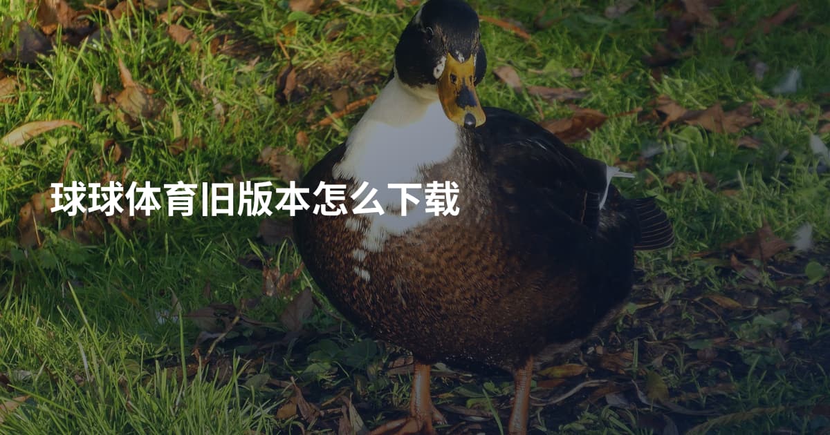 球球体育旧版本怎么下载