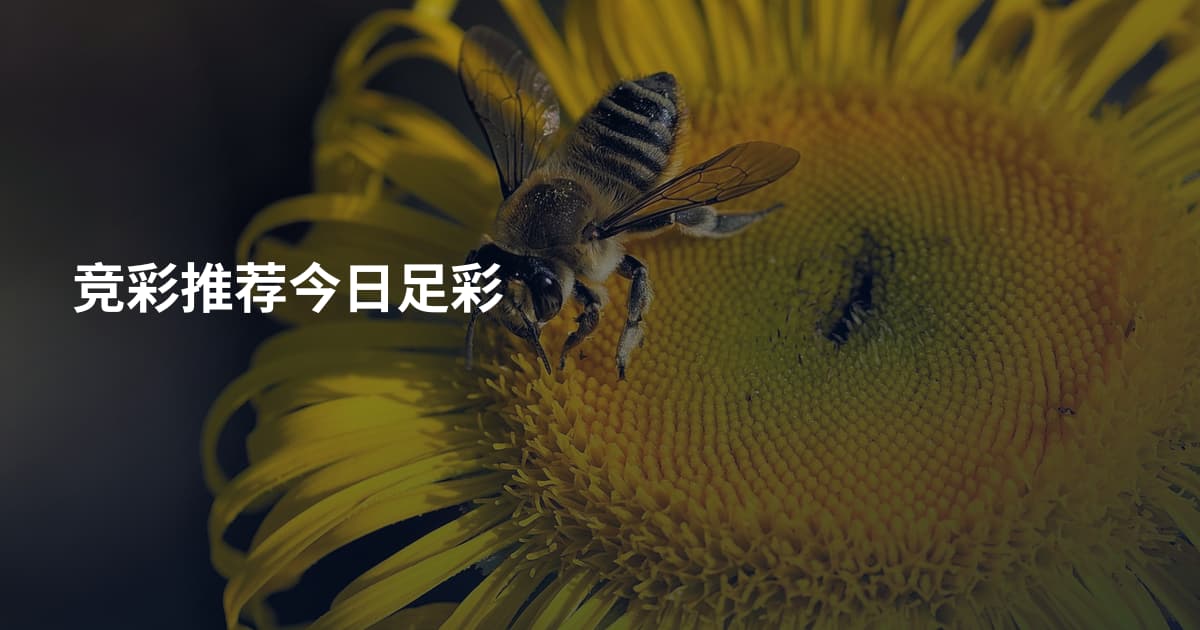 竞彩推荐今日足彩