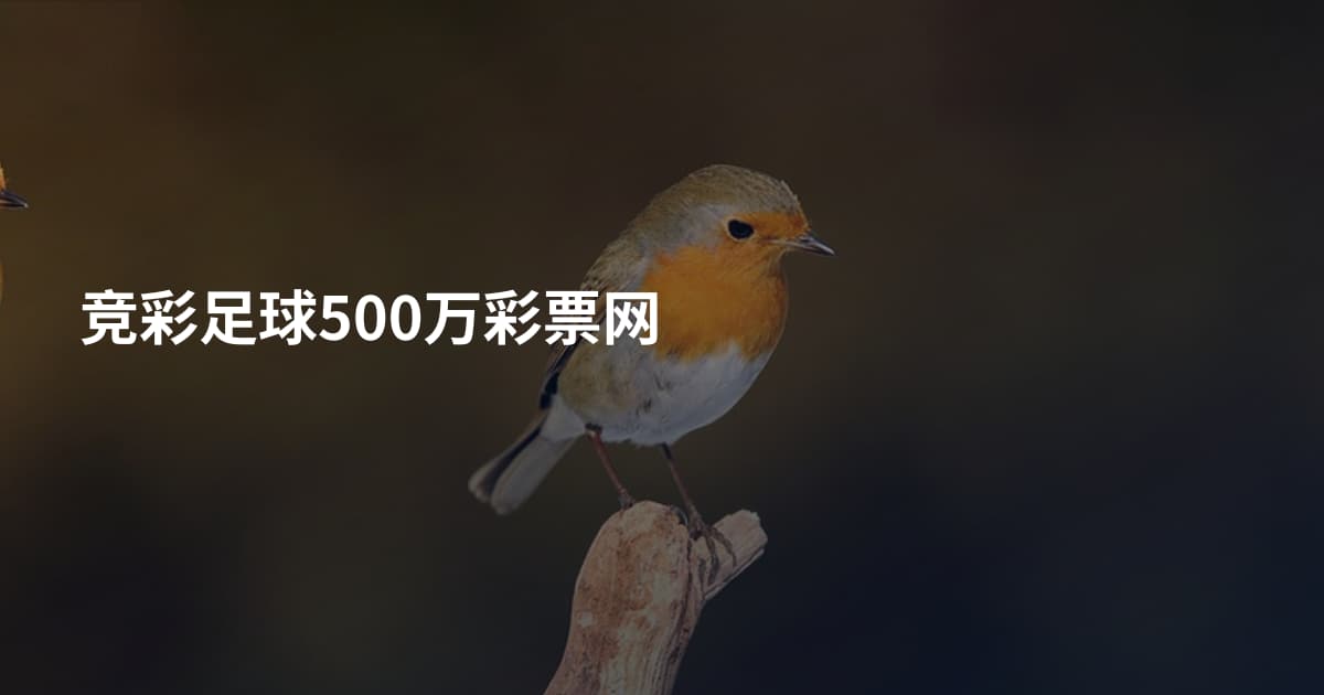 竞彩足球500万彩票网