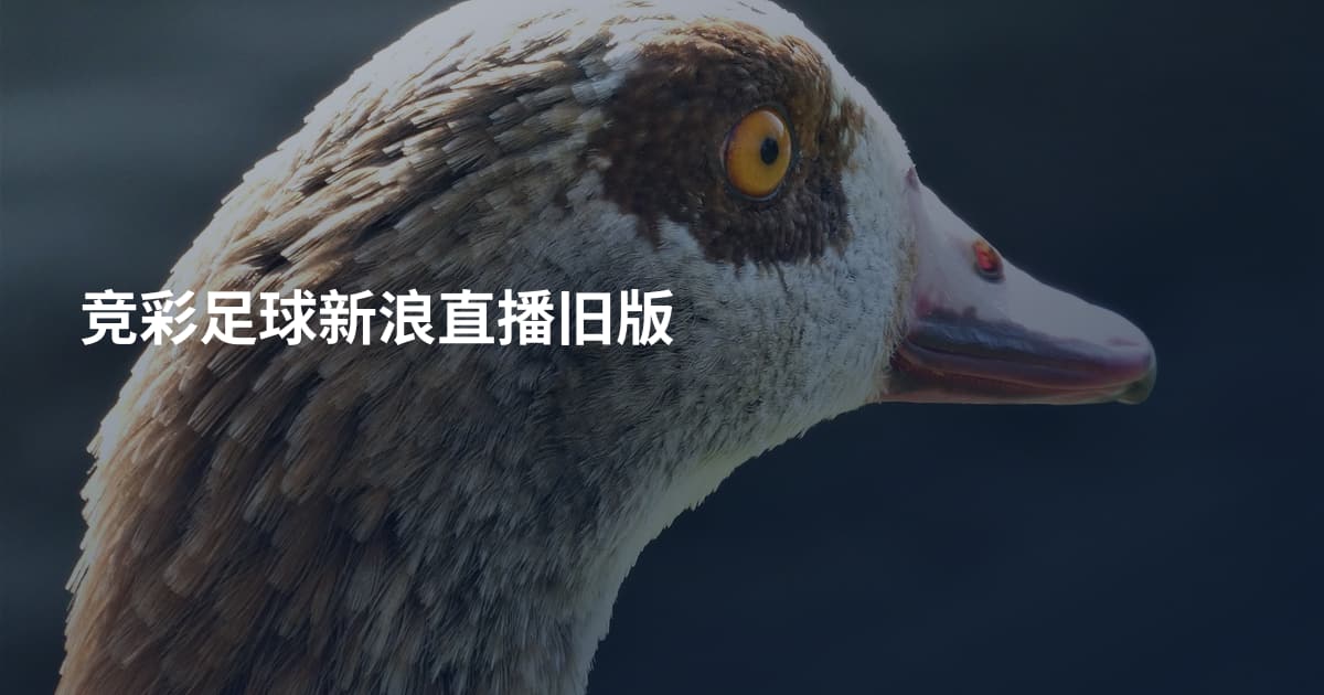 竞彩足球新浪直播旧版
