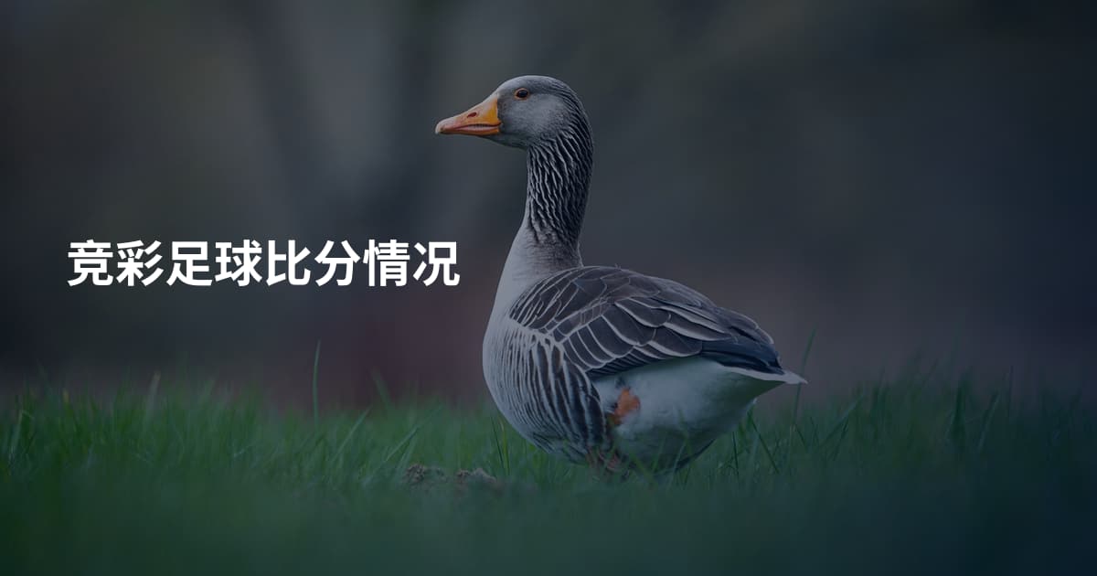 竞彩足球比分情况