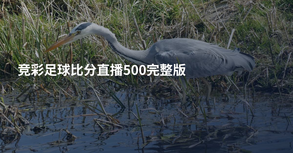竞彩足球比分直播500完整版