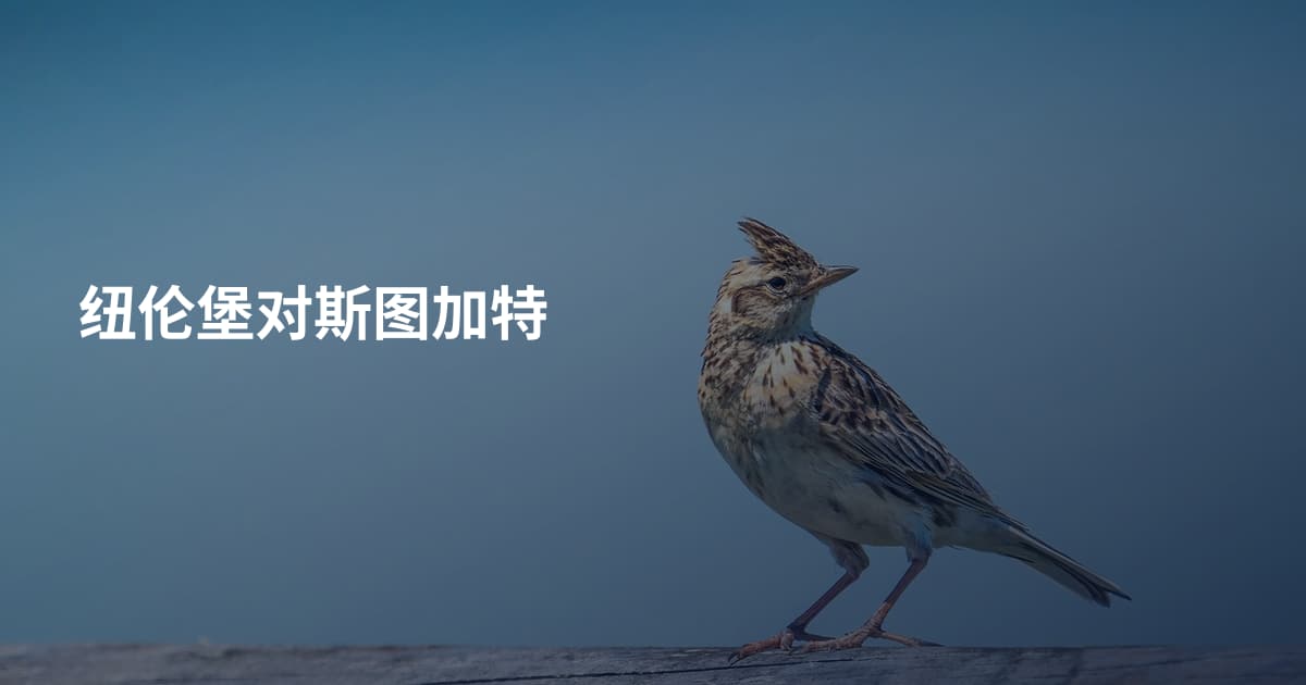 纽伦堡对斯图加特