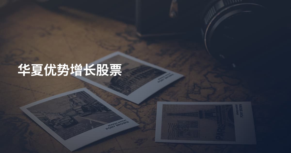 华夏优势增长股票