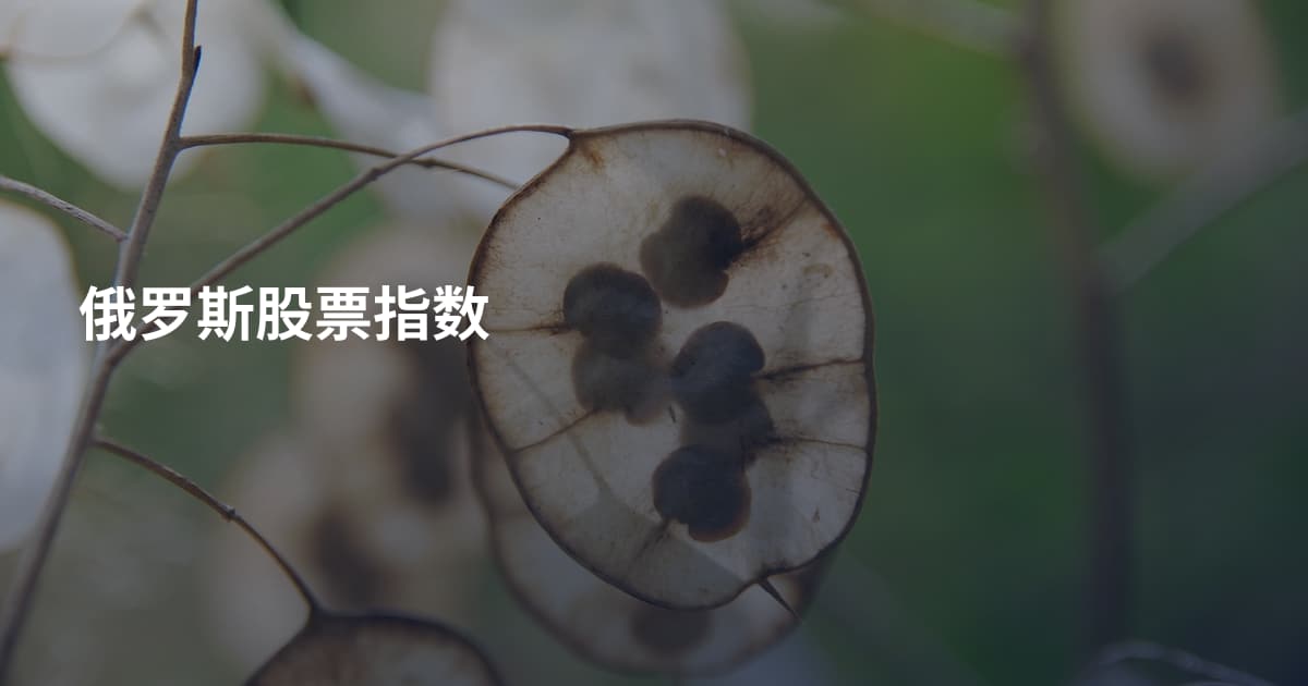俄罗斯股票指数