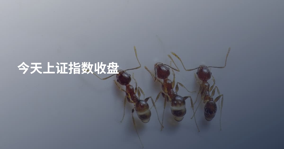 今天上证指数收盘