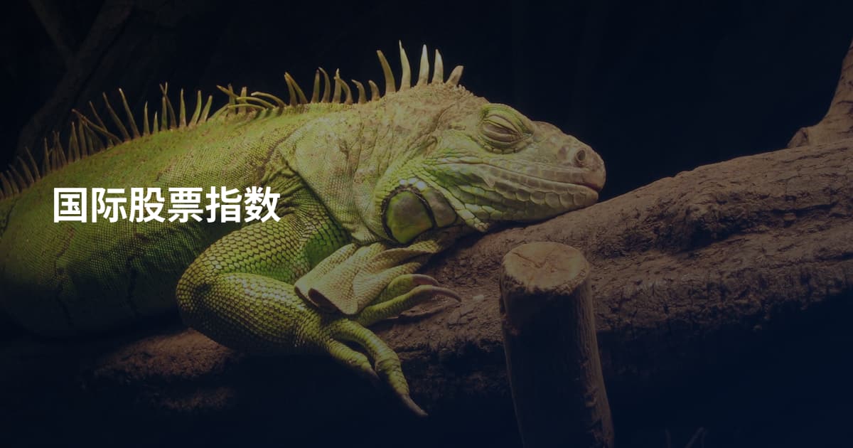 国际股票指数