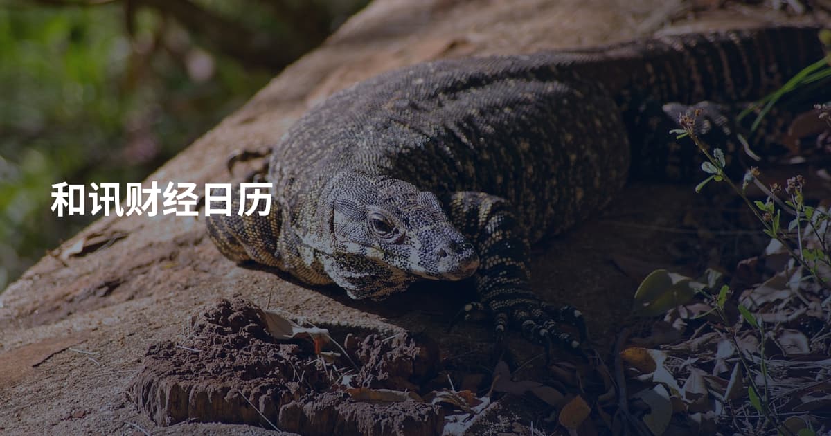 和讯财经日历
