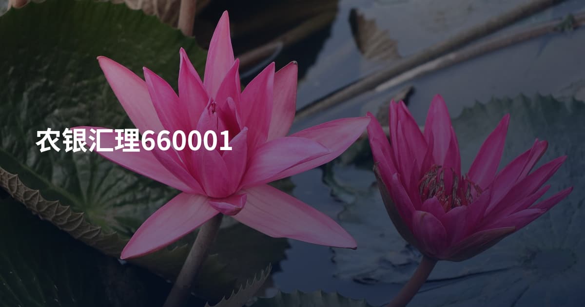 农银汇理660001