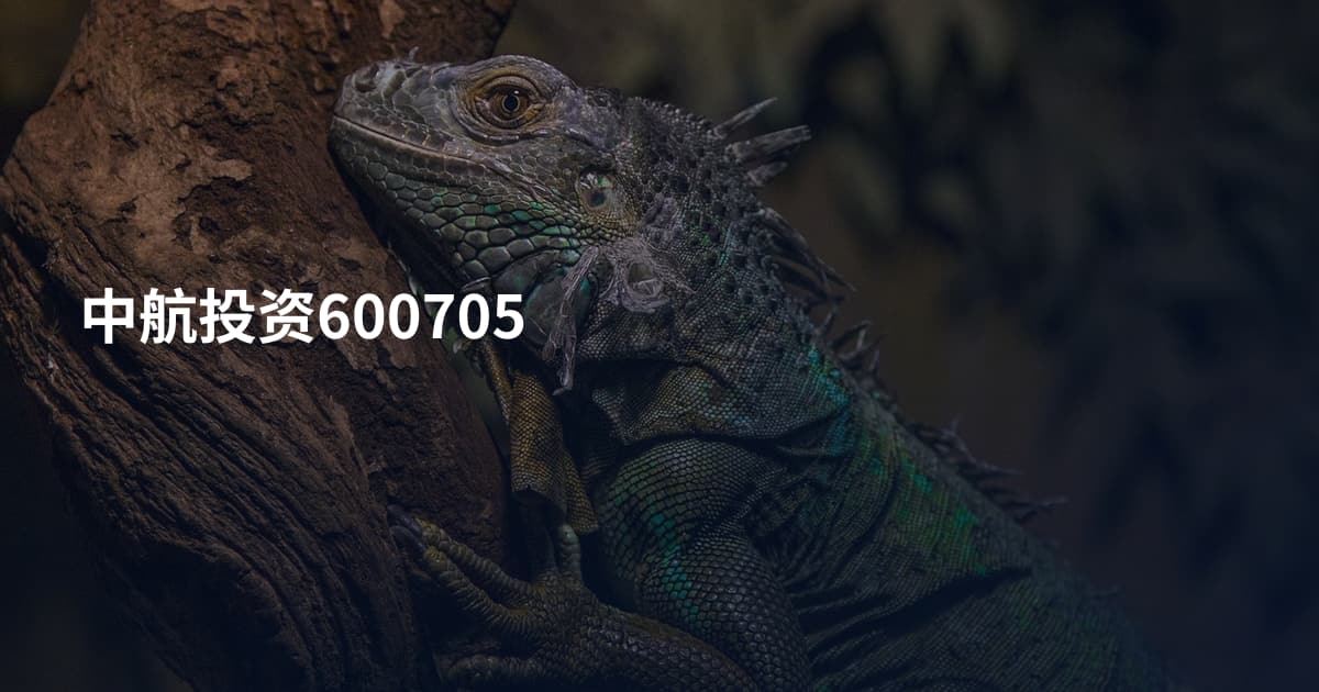中航投资600705