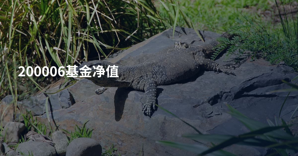 200006基金净值