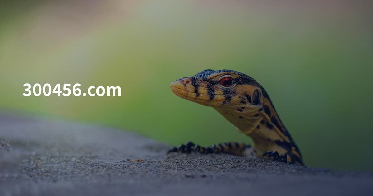 300456.com