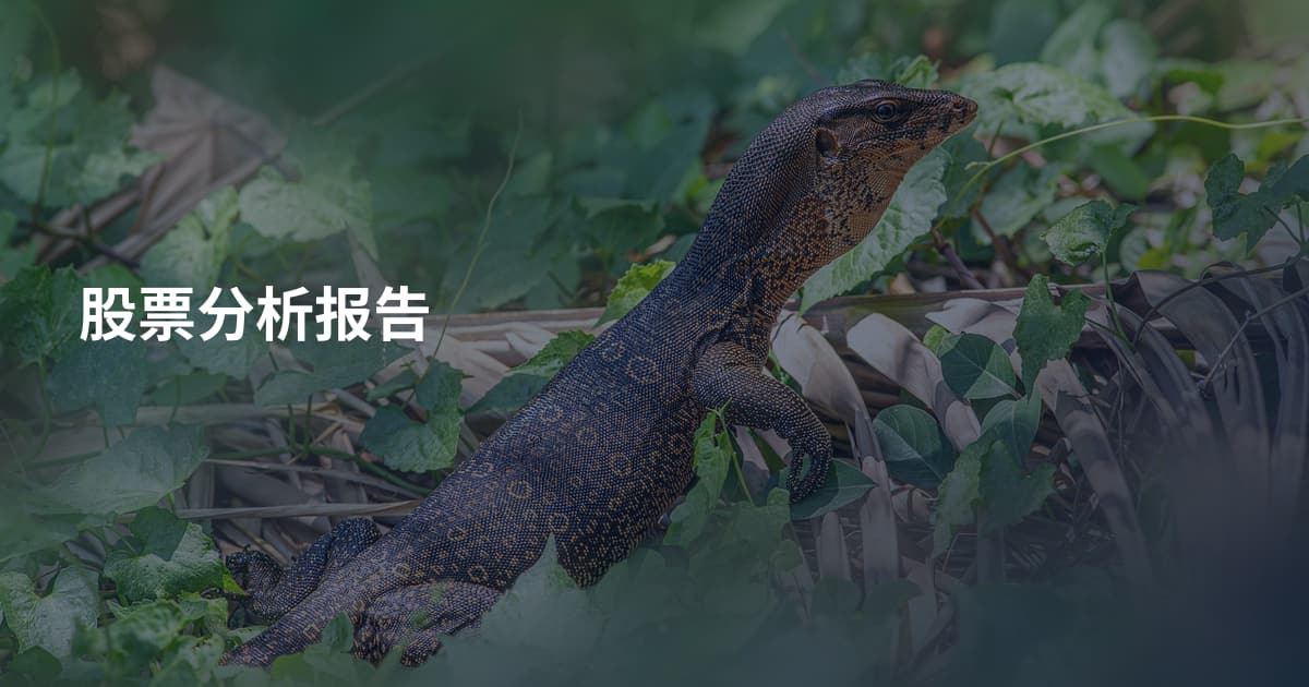 股票分析报告
