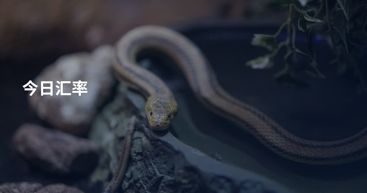今日汇率