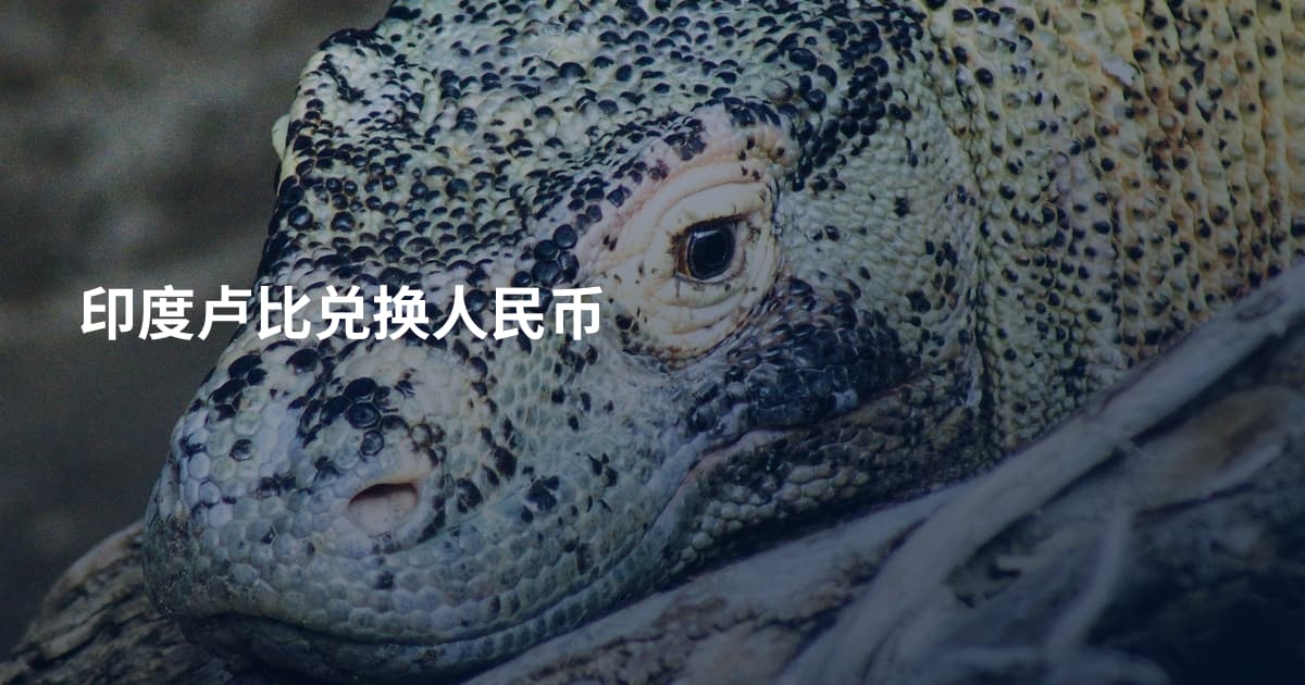 印度卢比兑换人民币