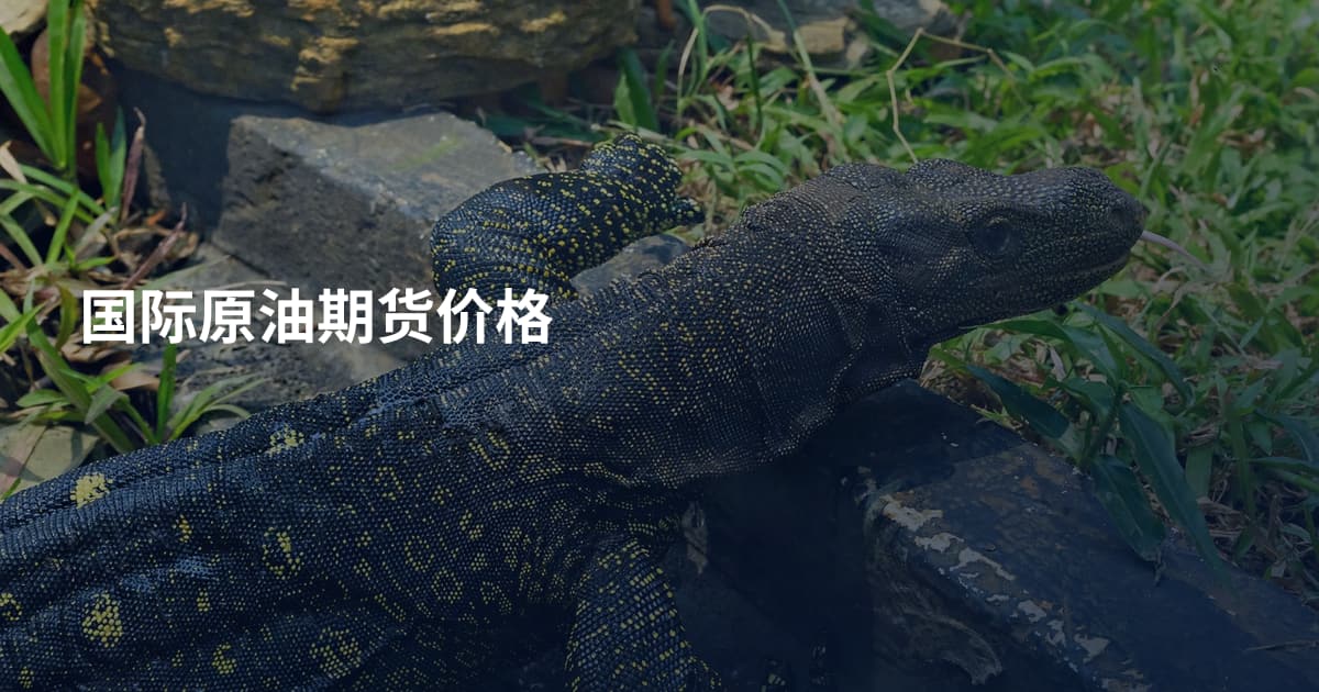 国际原油期货价格