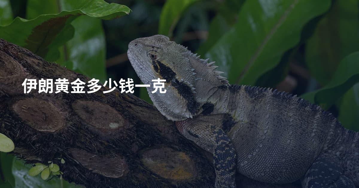 伊朗黄金多少钱一克
