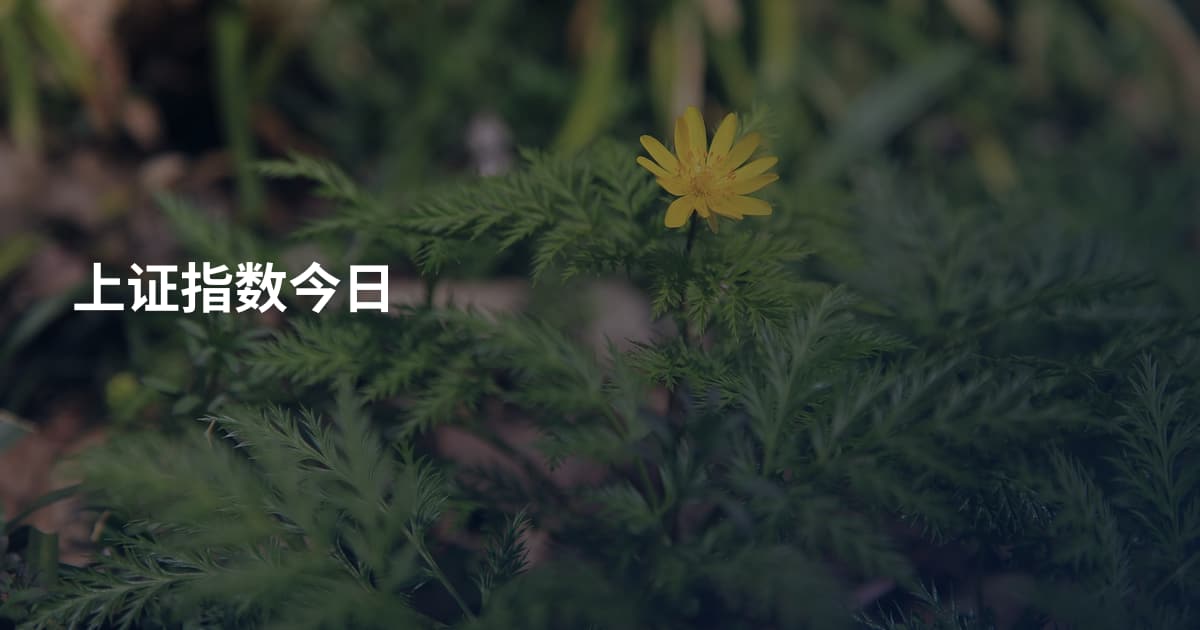上证指数今日