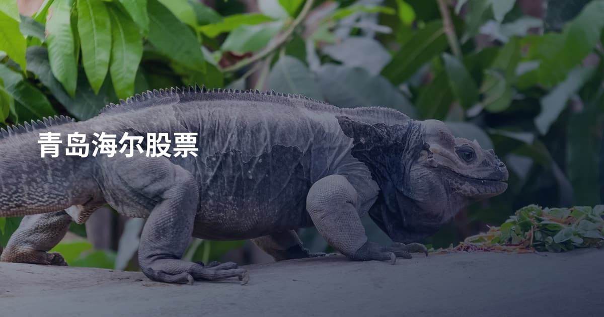 青岛海尔股票