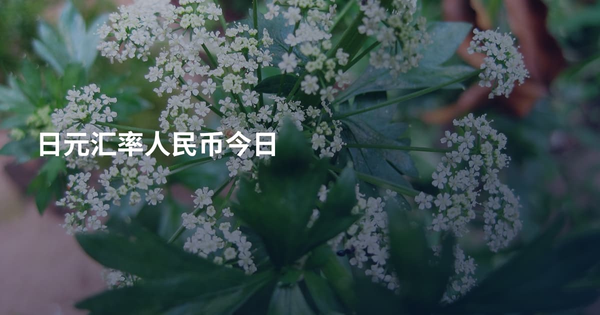 日元汇率人民币今日