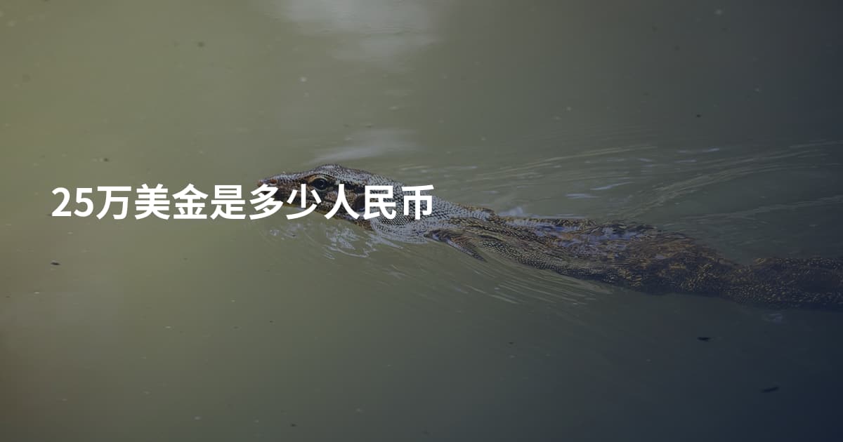 25万美金是多少人民币