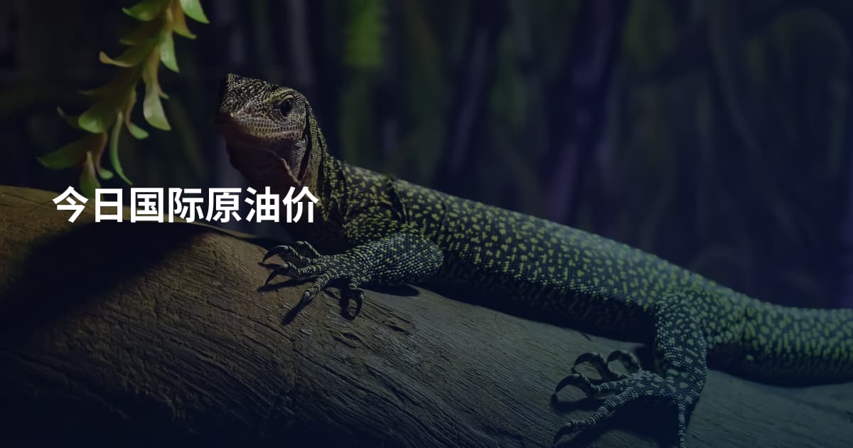 今日国际原油价