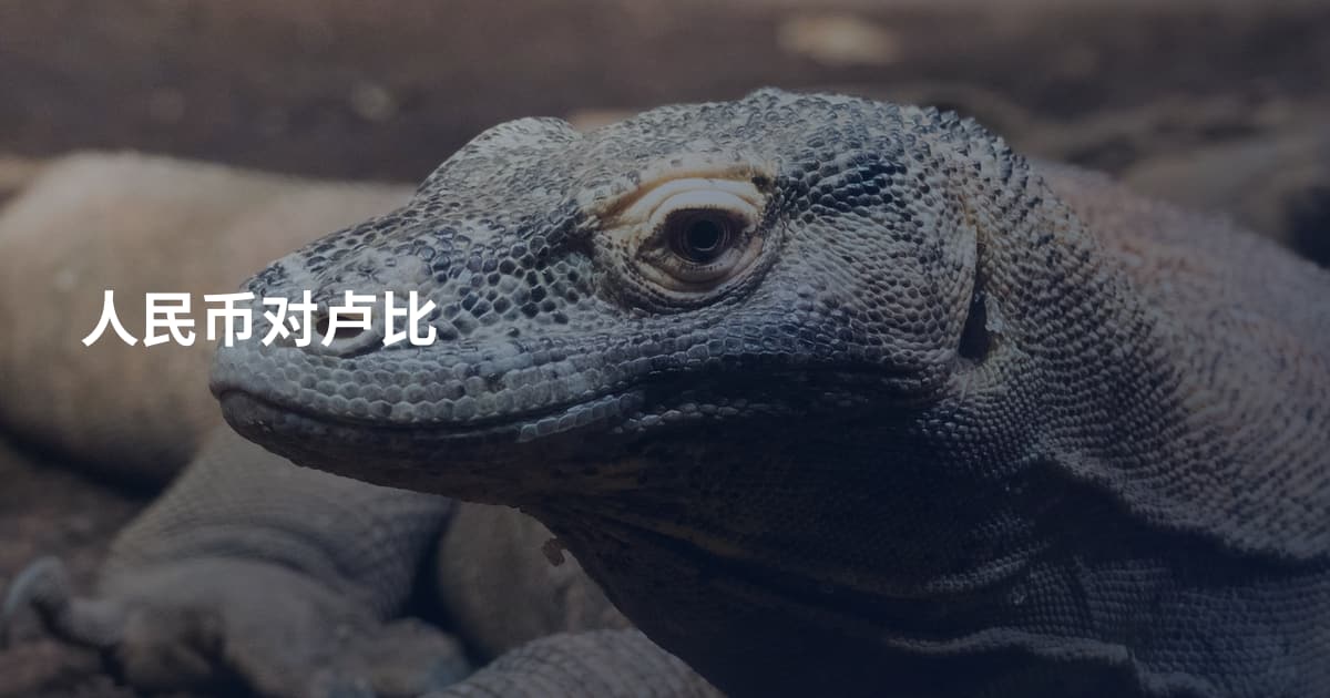 人民币对卢比