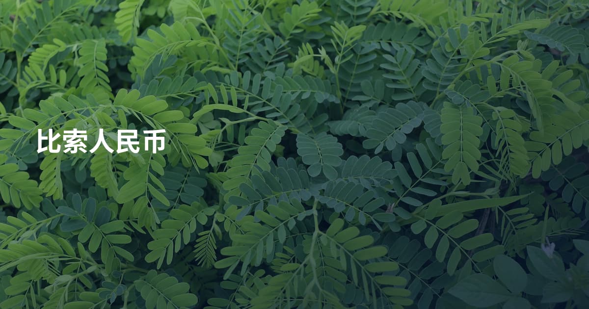 比索人民币