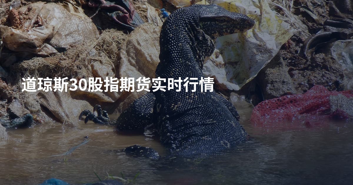 道琼斯30股指期货实时行情