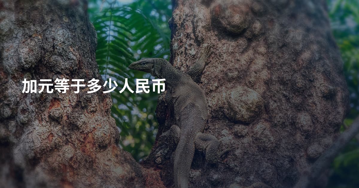 加元等于多少人民币