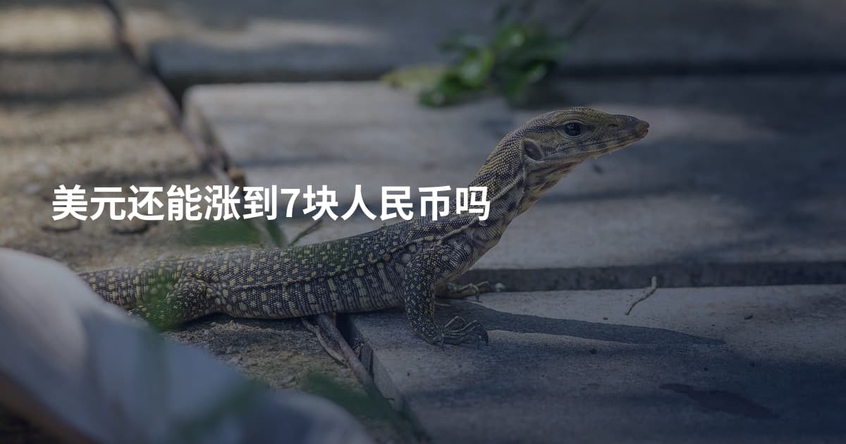 美元还能涨到7块人民币吗
