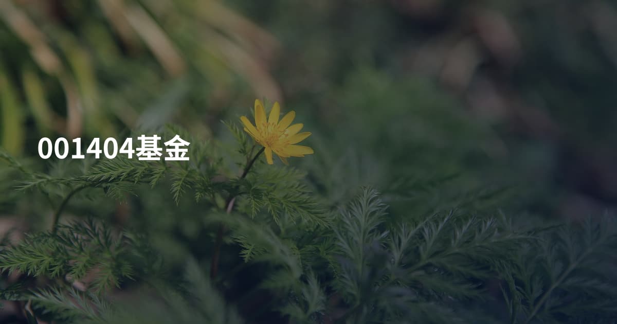 001404基金