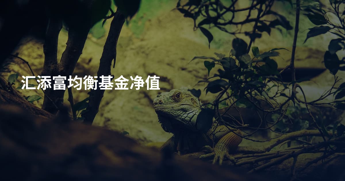 汇添富均衡基金净值