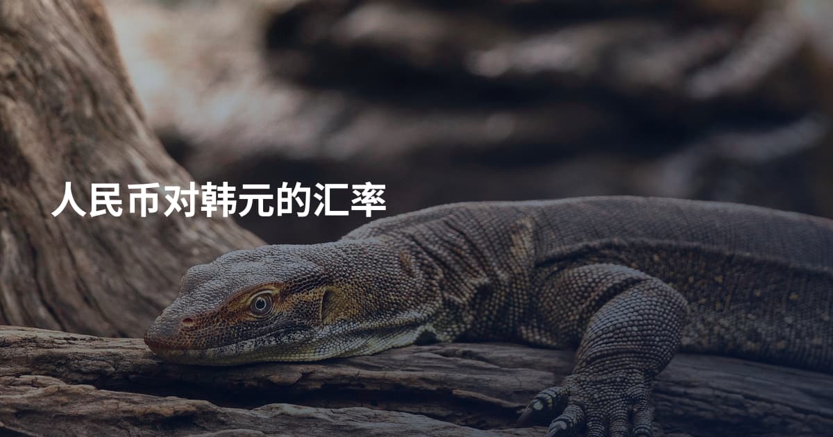 人民币对韩元的汇率