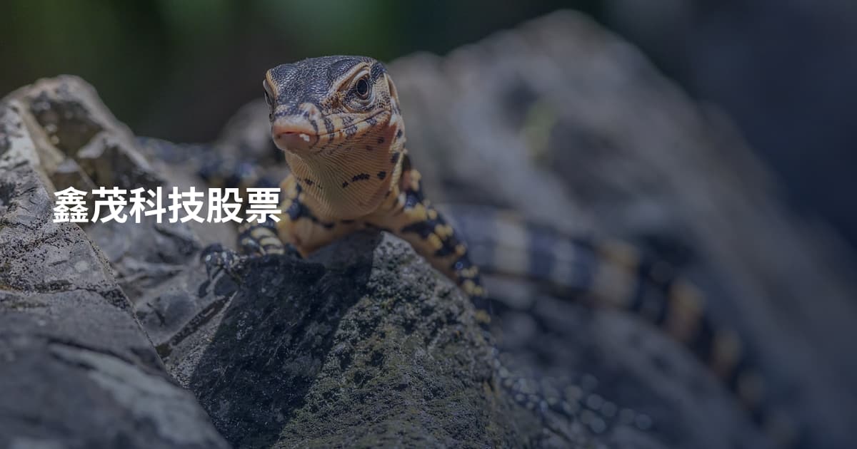 鑫茂科技股票