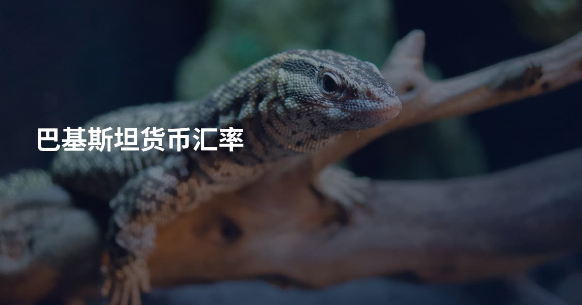 巴基斯坦货币汇率