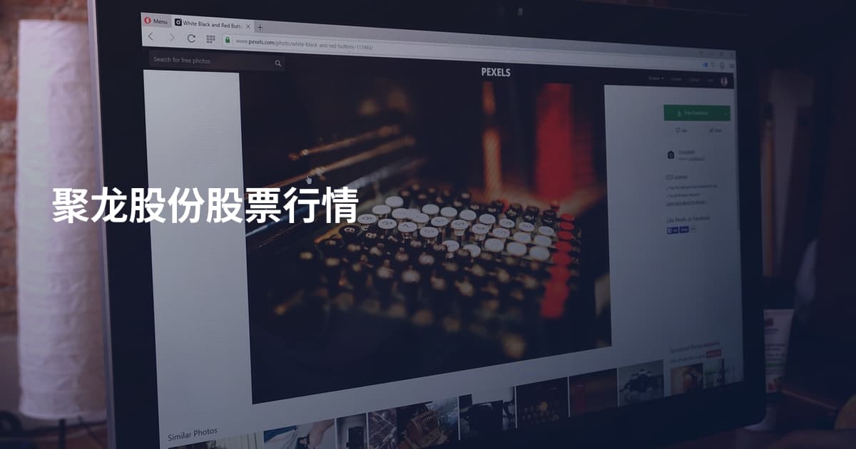 聚龙股份股票行情