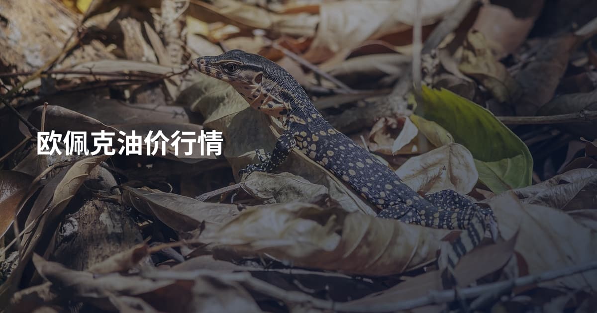欧佩克油价行情