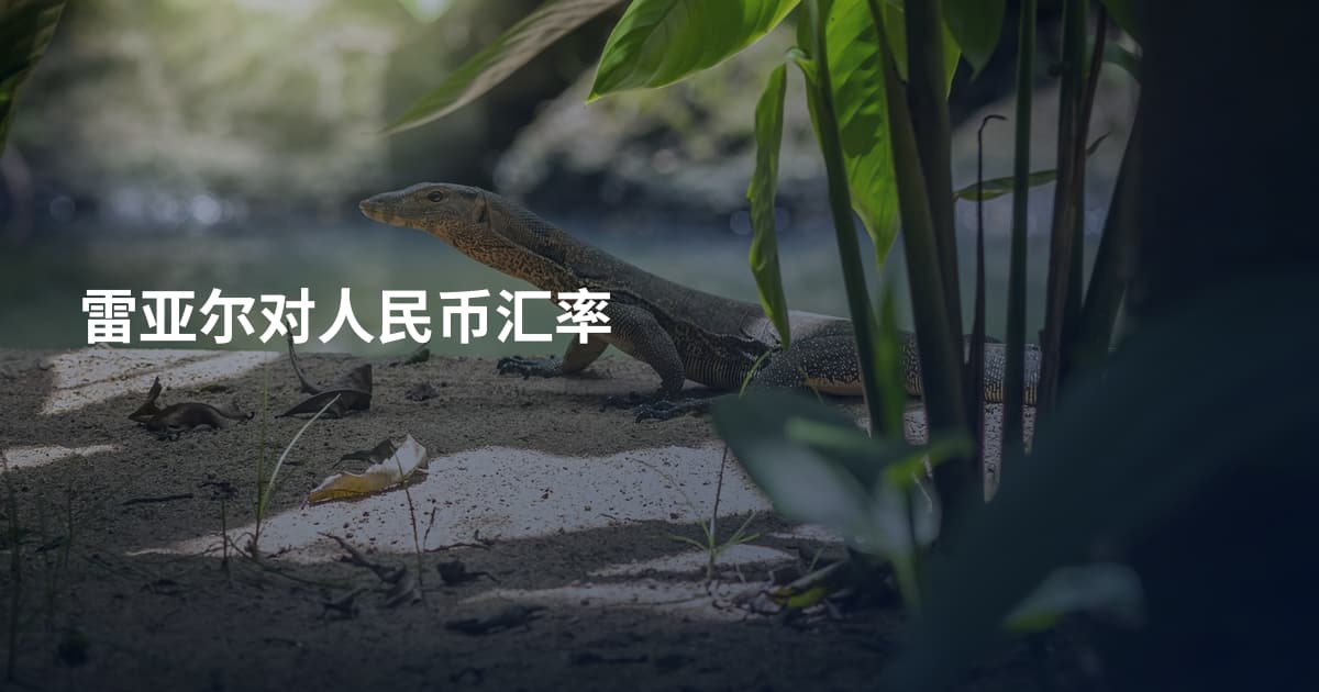 雷亚尔对人民币汇率