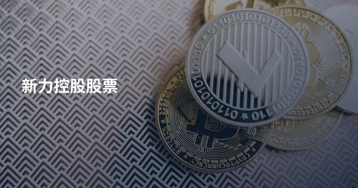 新力控股股票