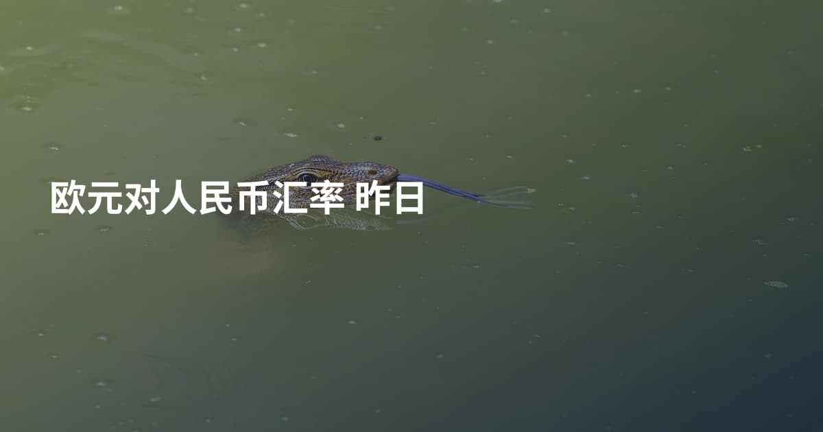欧元对人民币汇率 昨日
