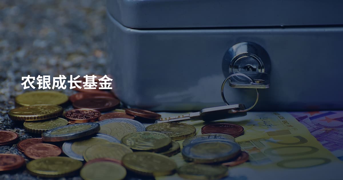 农银成长基金