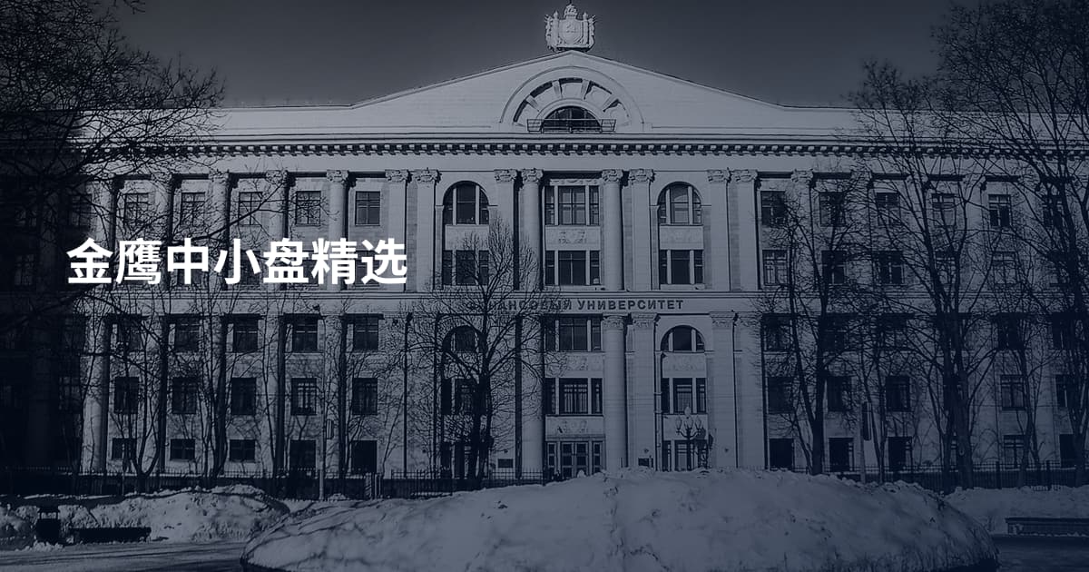 金鹰中小盘精选
