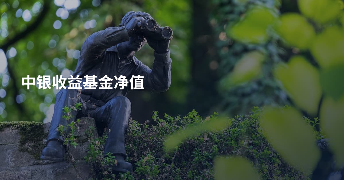 中银收益基金净值