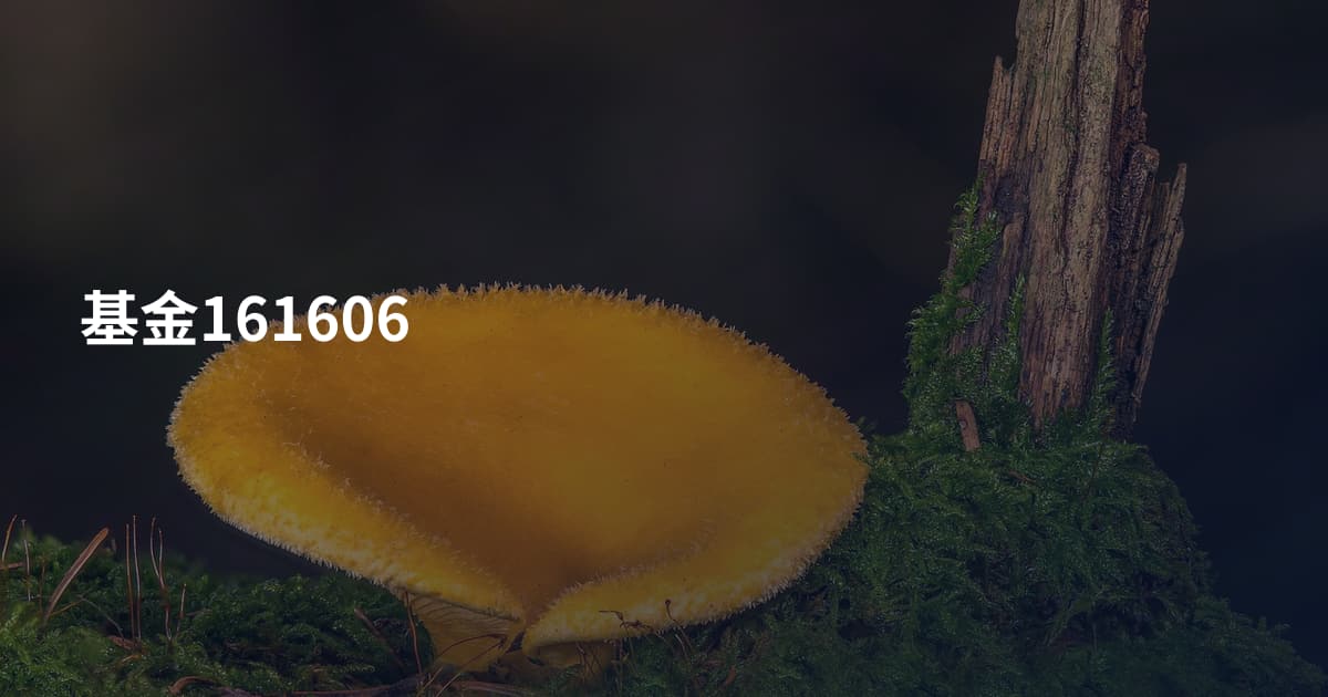 基金161606